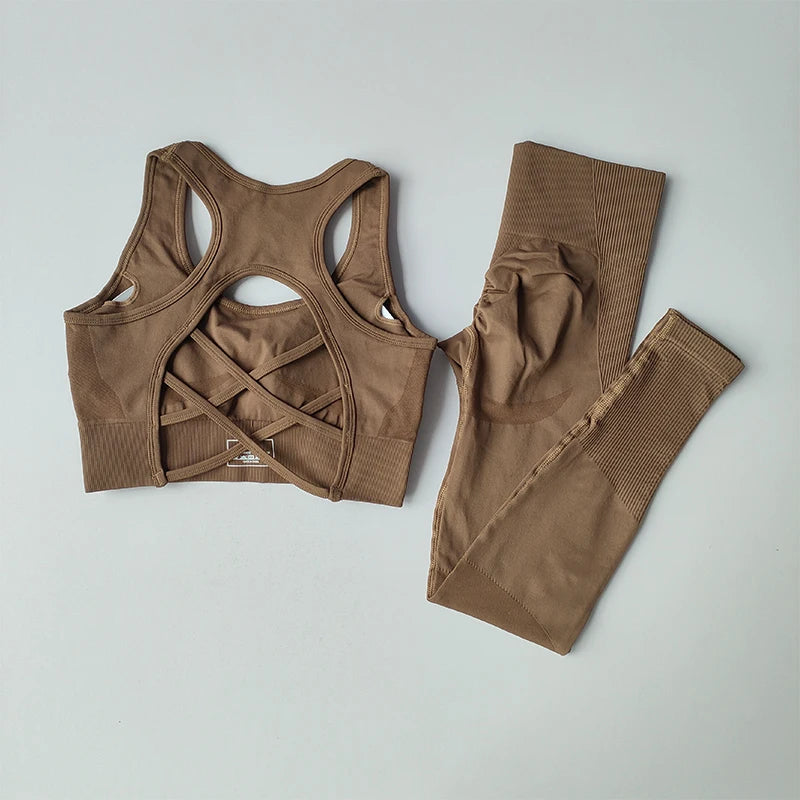 2PCS Women's Sports Bra Set Professional Fitness Tank Top Shockproof Running Leggings Yoga Suit