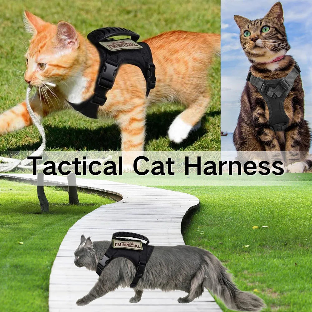 Tactical Cat Dog Harness Leash Adjustable Pet Vest Soft Mesh Training Puppy Straps with Handle for Large Cats