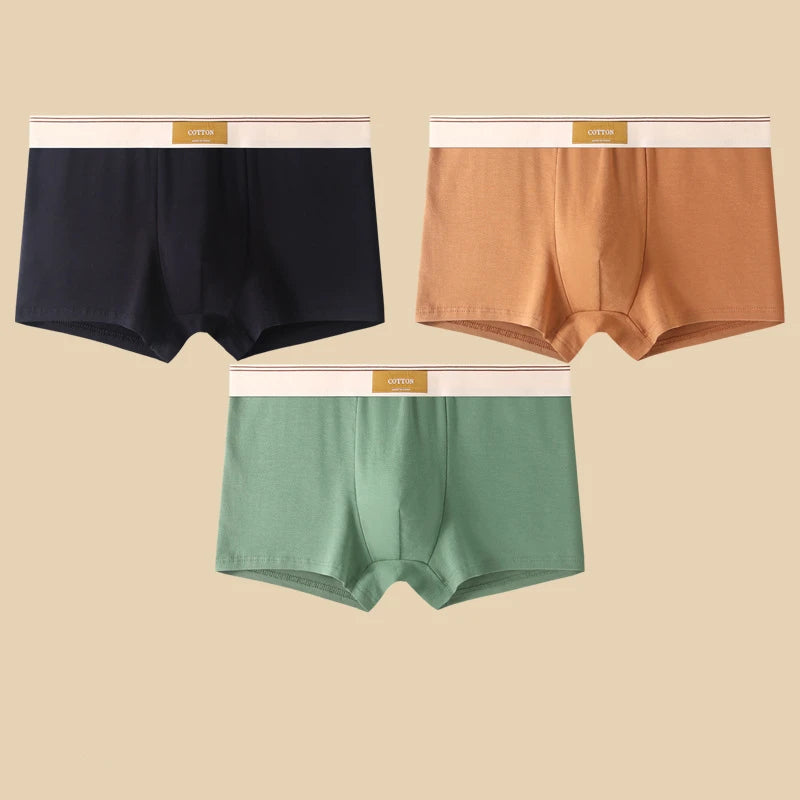 3 Pieces Men's Cotton Boxer Shorts Comfortable Breathable Solid Color Underwear