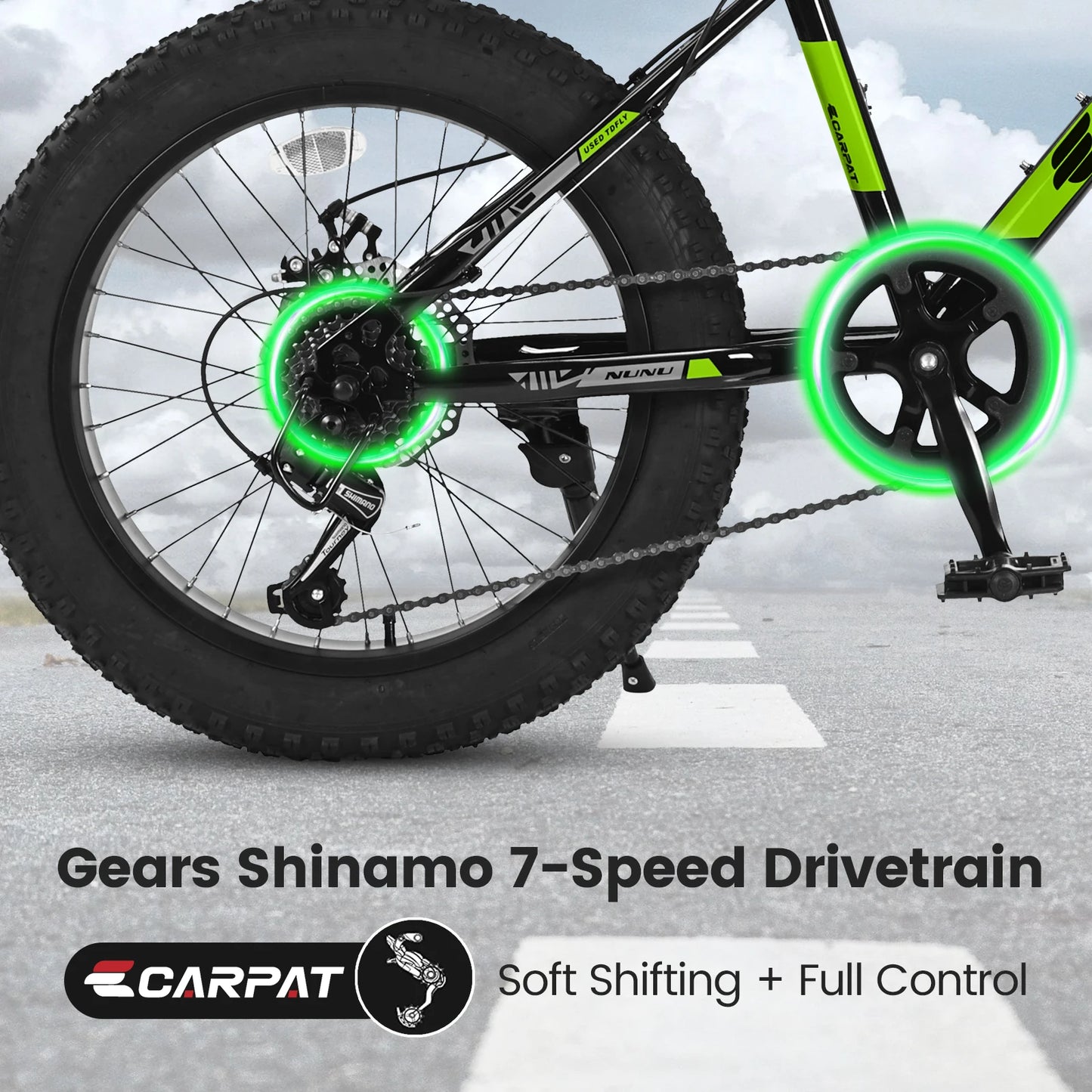 Ecarpat 20 Inch Kids Bike 4 Inch Wide Fat Tire Snow Mountain Bike 7 Speed for Boys Girls Children Steel Frame