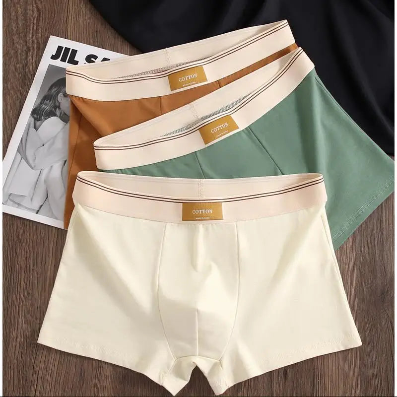 3 Pieces Men's Cotton Boxer Shorts Comfortable Breathable Solid Color Underwear