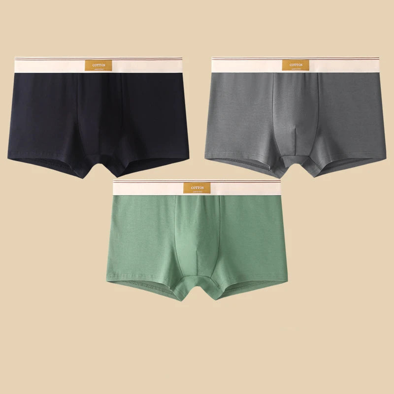 3 Pieces Men's Cotton Boxer Shorts Comfortable Breathable Solid Color Underwear