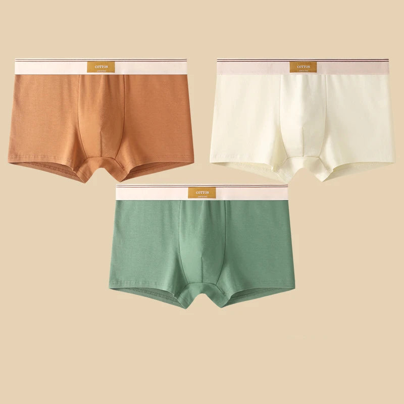 3 Pieces Men's Cotton Boxer Shorts Comfortable Breathable Solid Color Underwear