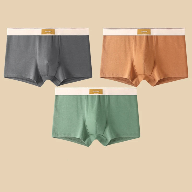 3 Pieces Men's Cotton Boxer Shorts Comfortable Breathable Solid Color Underwear
