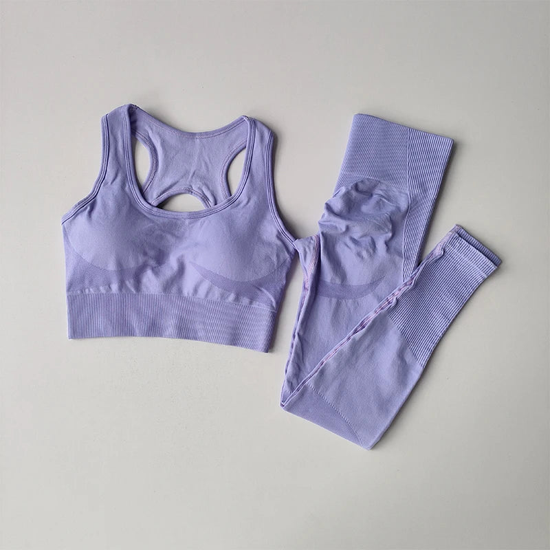 2PCS Women's Sports Bra Set Professional Fitness Tank Top Shockproof Running Leggings Yoga Suit