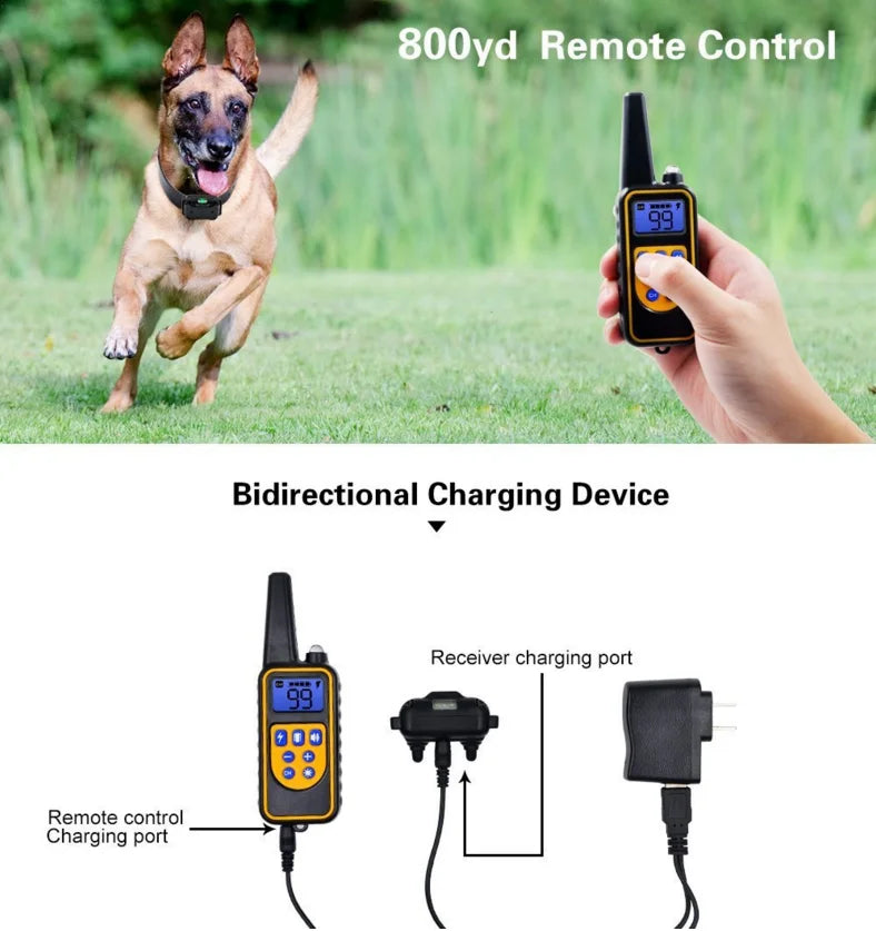 Electric Dog Training Collar Waterproof Bark Control Device with Remote Rechargeable for All Dog Sizes
