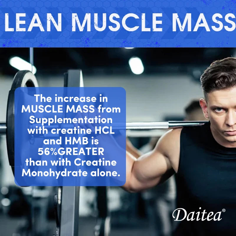 Creatine Monohydrate 3000 Mg Easy To Absorb Supports Strength Muscle 120 Capsules