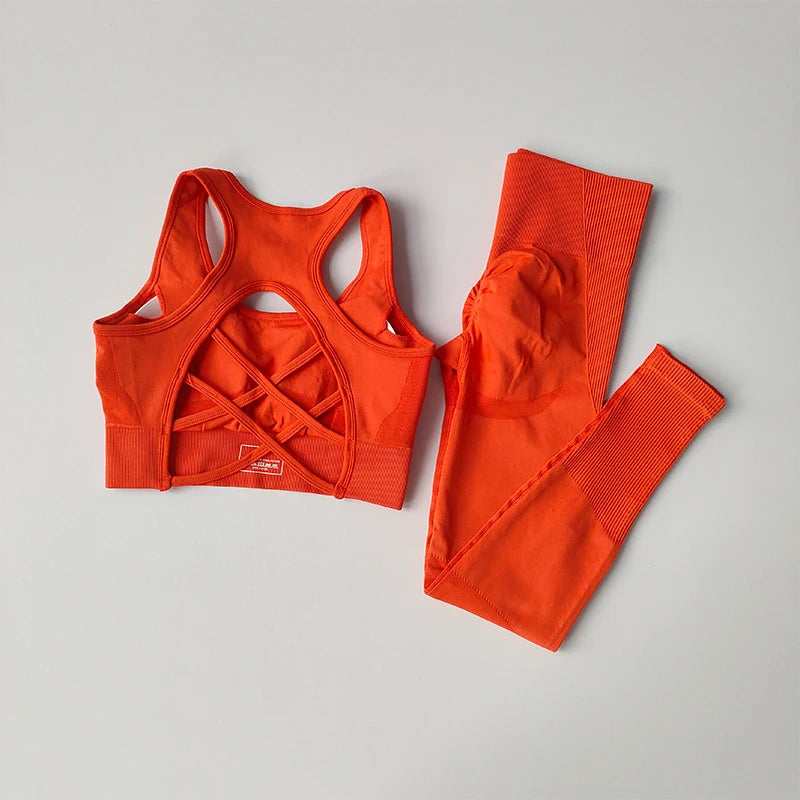 2PCS Women's Sports Bra Set Professional Fitness Tank Top Shockproof Running Leggings Yoga Suit