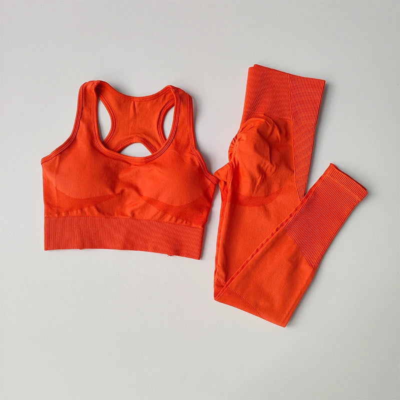 2PCS Women's Sports Bra Set Professional Fitness Tank Top Shockproof Running Leggings Yoga Suit