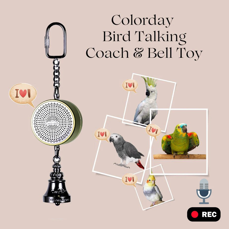 Parrot Toys for Teaching Training Bird Talking Coach Interactive Recording Playback Electronic Voice Chewing Tearing Bell