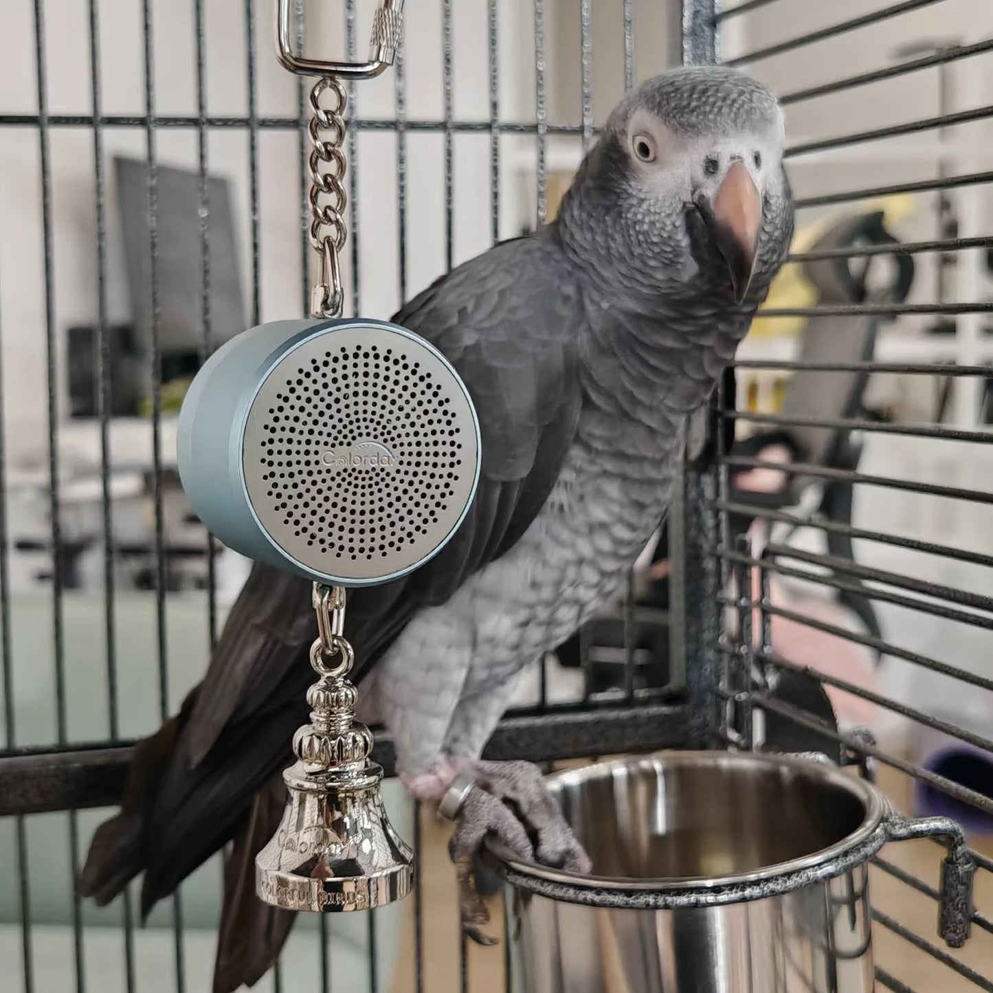 Parrot Toys for Teaching Training Bird Talking Coach Interactive Recording Playback Electronic Voice Chewing Tearing Bell