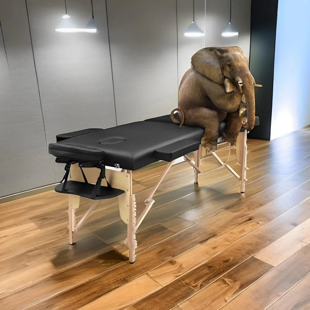 Professional Portable Massage Table Adjustable Foldable Lash Bed for Spa Tattoo Facial Physical Therapy