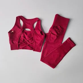 2PCS Women's Sports Bra Set Professional Fitness Tank Top Shockproof Running Leggings Yoga Suit