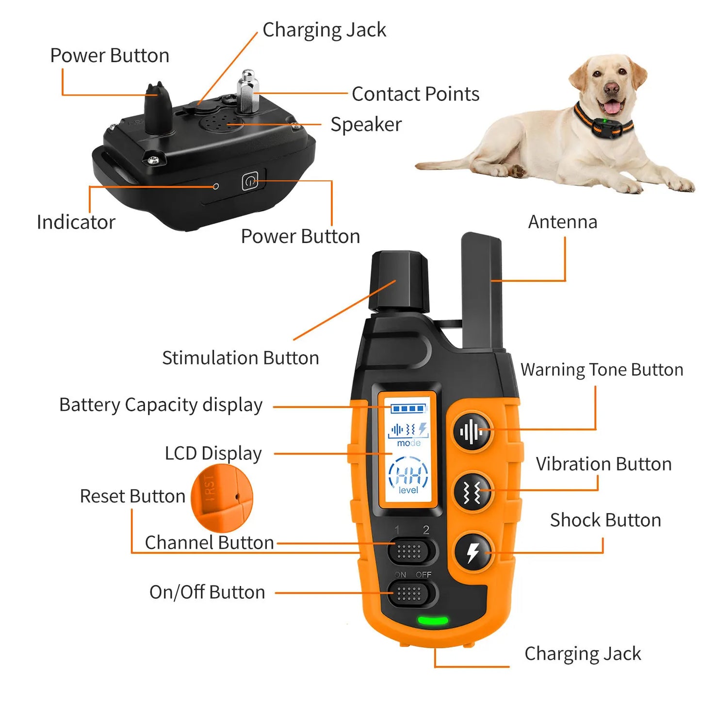 3300 Feet Electric Dog Training Collar Remote Control Waterproof for 5 to 120 Pounds Puppy with Shock and Vibration