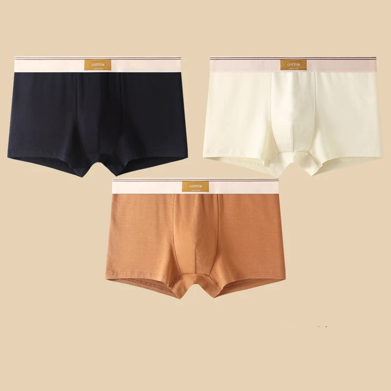 3 Pieces Men's Cotton Boxer Shorts Comfortable Breathable Solid Color Underwear
