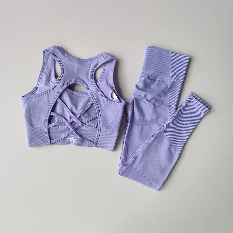 2PCS Women's Sports Bra Set Professional Fitness Tank Top Shockproof Running Leggings Yoga Suit