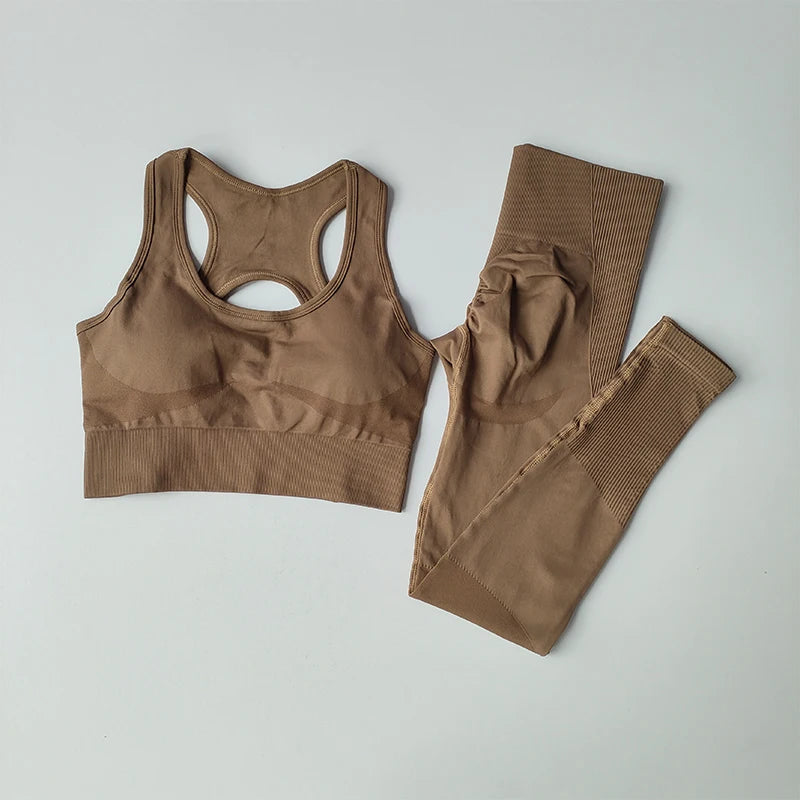 2PCS Women's Sports Bra Set Professional Fitness Tank Top Shockproof Running Leggings Yoga Suit