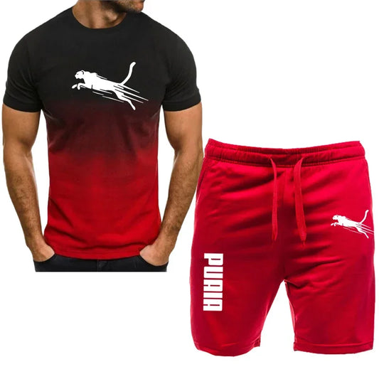 Men's Casual Sports Set with Breathable T-Shirt and Running Shorts 2 Pieces Organic Cotton Spring Summer 2024