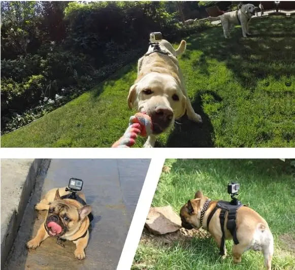 Adjustable Fetch Dog Harness for GoPro Hero 12 11 10 9 8 7 6 5 4 Sports Camera Mount Holder for Xiaoyi