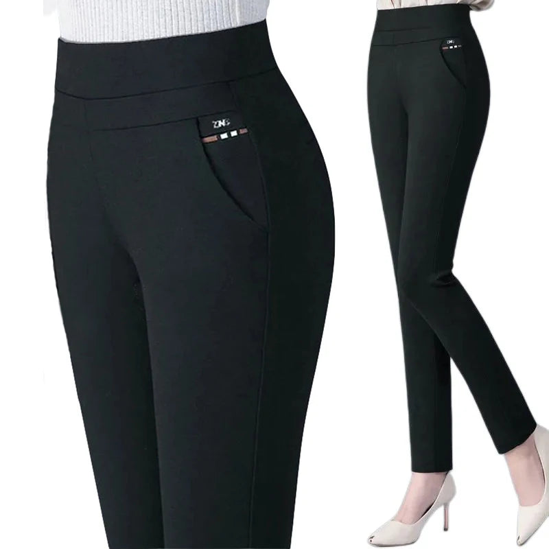 Thin and Thick Warm Winter Pencil Pants for Women Plush Stretch Lady OL Skinny Trousers Female Slim Fit Leggings