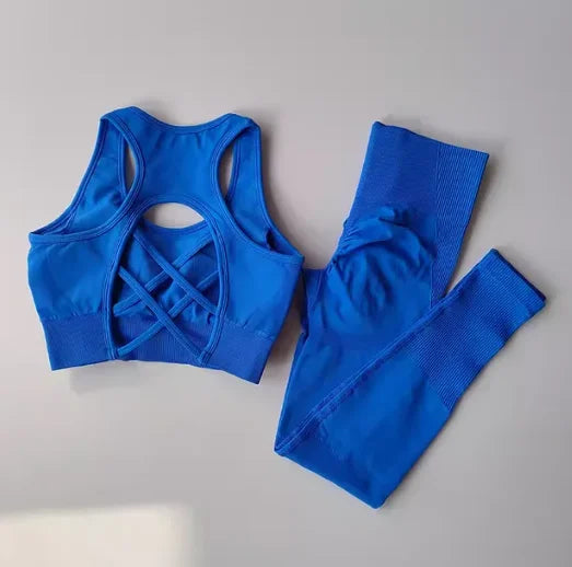 2PCS Women's Sports Bra Set Professional Fitness Tank Top Shockproof Running Leggings Yoga Suit