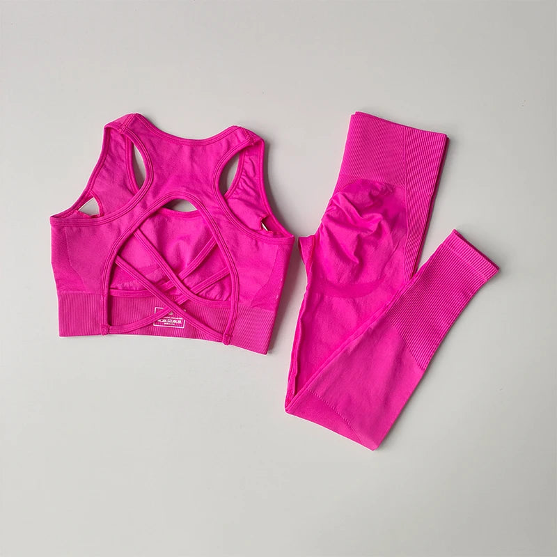 2PCS Women's Sports Bra Set Professional Fitness Tank Top Shockproof Running Leggings Yoga Suit