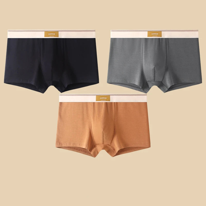 3 Pieces Men's Cotton Boxer Shorts Comfortable Breathable Solid Color Underwear
