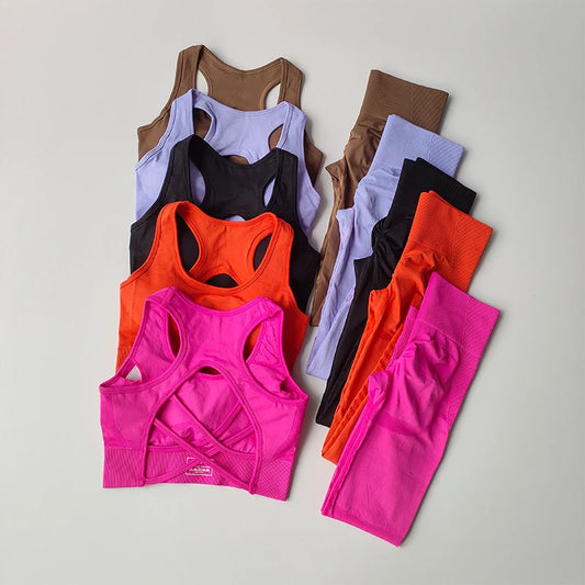 2PCS Women's Sports Bra Set Professional Fitness Tank Top Shockproof Running Leggings Yoga Suit