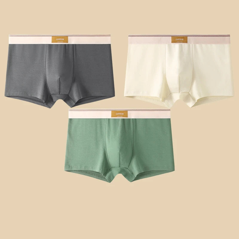 3 Pieces Men's Cotton Boxer Shorts Comfortable Breathable Solid Color Underwear